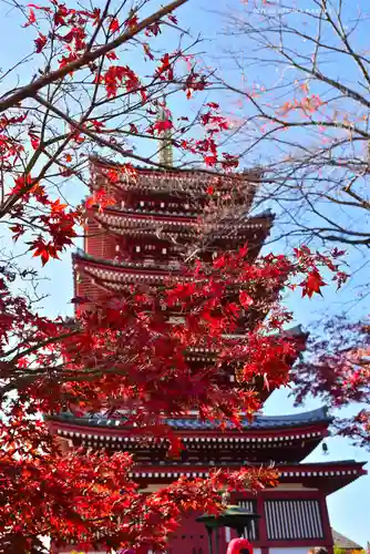 本土寺(千葉県)