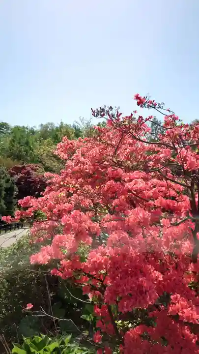 相馬神社の庭園
