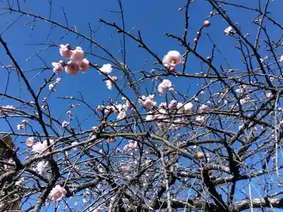 濱名惣社神明宮(静岡県)