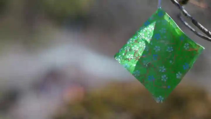 醍醐寺(京都府)