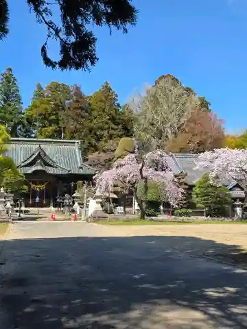 相馬小高神社の{uncategorized: "未分類", other: "その他", undefined: "問題あり", building: "その他建物", grave: "お墓", sacred_gate: "鳥居", guardian: "狛犬", statue: "像", buddha: "仏像", history: "歴史", nature: "自然", garden: "庭園", animal: "動物", pagoda: "塔", temizu: "手水舎", mountain_gate: "山門・神門", sanctuary: "本殿・本堂", subordinate: "末社・摂社", art: "芸術", scenery: "景色", jizo: "地蔵", ema: "絵馬", goshuin: "御朱印", omikuji: "おみくじ", items: "授与品その他", amulet: "お守り", goshuincho: "御朱印帳", eats: "食事", festival: "お祭り", votive_dance: "神楽", shichigosan: "七五三参", wedding: "結婚式", experience: "体験その他", initially: "初詣", around: "周辺", anti_infection: "感染症対策"}