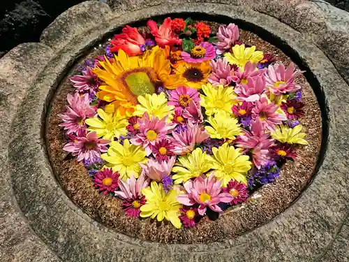 埼玉厄除け開運大師・龍泉寺（切り絵御朱印発祥の寺）の手水舎