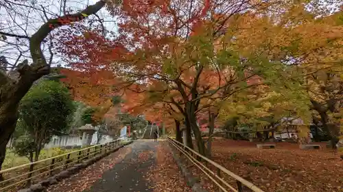 岩屋寺(京都府)