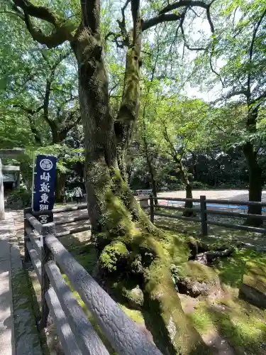 仙波東照宮(埼玉県)
