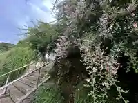 妙高院(神奈川県)