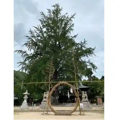 賀羅加波神社(広島県)