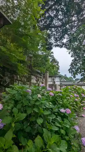 知恩院(京都府)