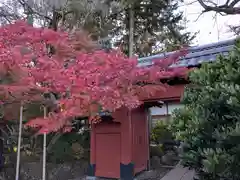 豪徳寺(東京都)