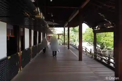 大覚寺(京都府)