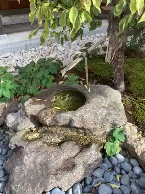 泰雲寺(愛知県)