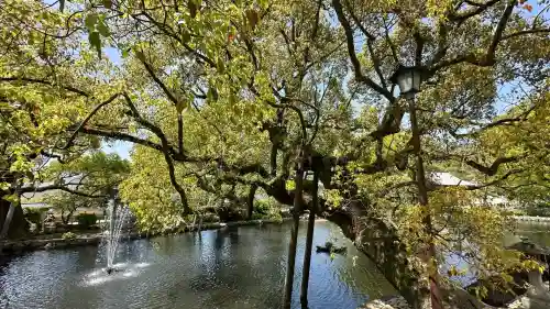 太宰府天満宮の自然