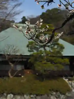 浄妙寺の{uncategorized: "未分類", other: "その他", undefined: "問題あり", building: "その他建物", grave: "お墓", sacred_gate: "鳥居", guardian: "狛犬", statue: "像", buddha: "仏像", history: "歴史", nature: "自然", garden: "庭園", animal: "動物", pagoda: "塔", temizu: "手水舎", mountain_gate: "山門・神門", sanctuary: "本殿・本堂", subordinate: "末社・摂社", art: "芸術", scenery: "景色", jizo: "地蔵", ema: "絵馬", goshuin: "御朱印", omikuji: "おみくじ", items: "授与品その他", amulet: "お守り", goshuincho: "御朱印帳", eats: "食事", festival: "お祭り", votive_dance: "神楽", shichigosan: "七五三参", wedding: "結婚式", experience: "体験その他", initially: "初詣", around: "周辺", anti_infection: "感染症対策"}