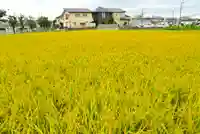 瀧神社(東京都)