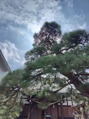 瑞光寺(東京都)