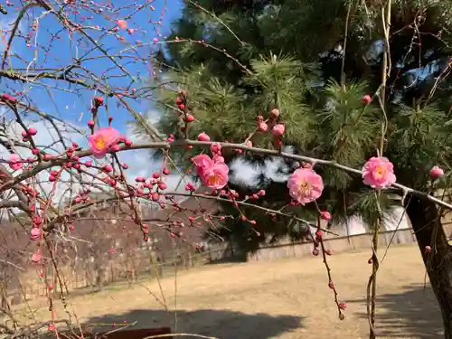 柳澤神社の自然