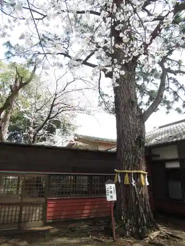 前原御嶽神社(千葉県)
