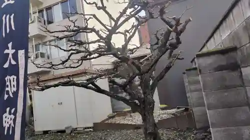 法雲寺(京都府)