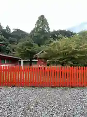 富士山本宮浅間大社(静岡県)