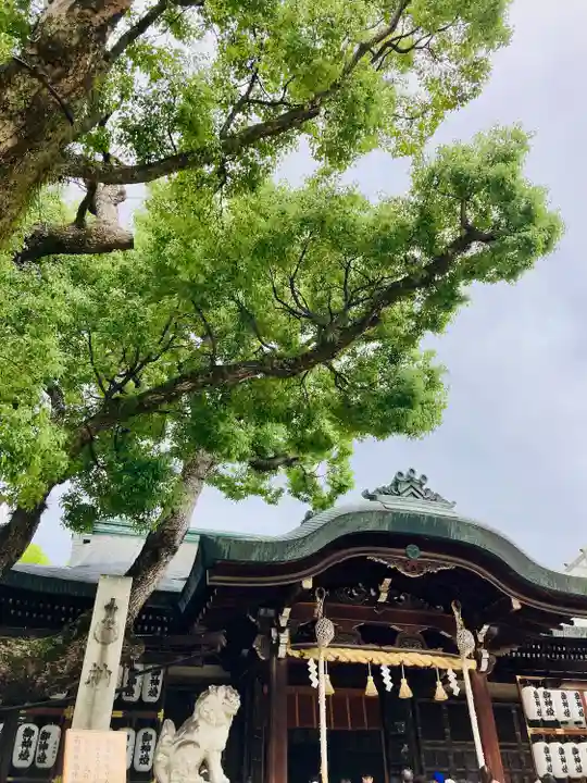 石切劔箭神社(大阪府)