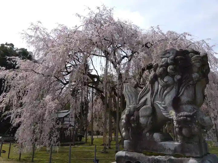 足羽神社(福井県)