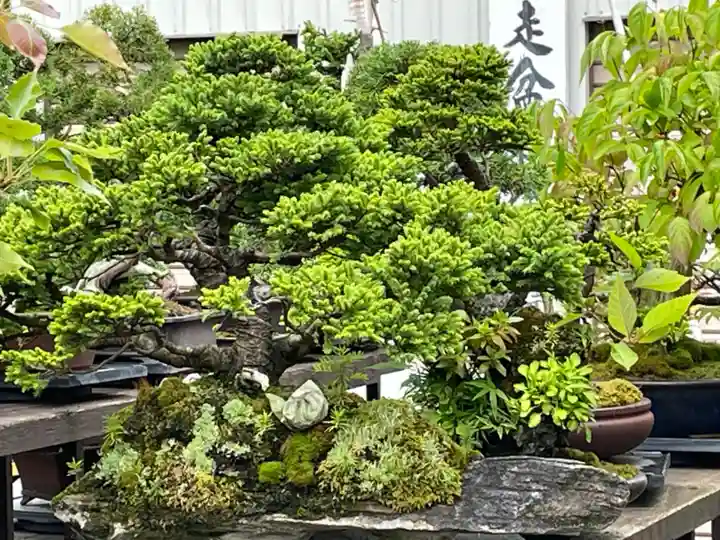 網走三吉神社(北海道)