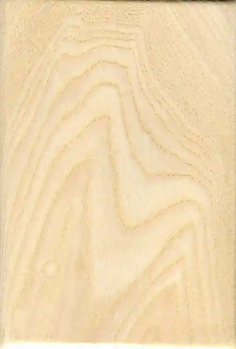 土佐神社の御朱印帳