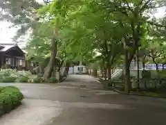 道場寺の建物その他