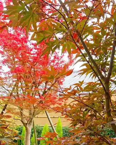 寿量山　速成寺の庭園