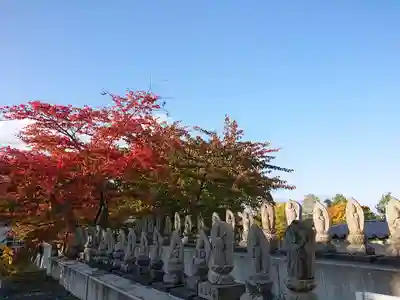 極楽山　浄土寺の仏像