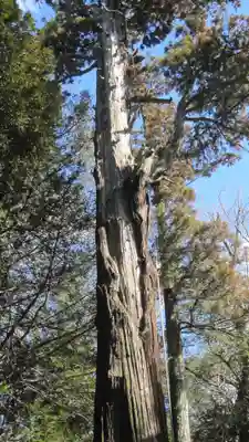 一言主神社(茨城県)