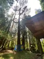 蒼前神社(岩手県)