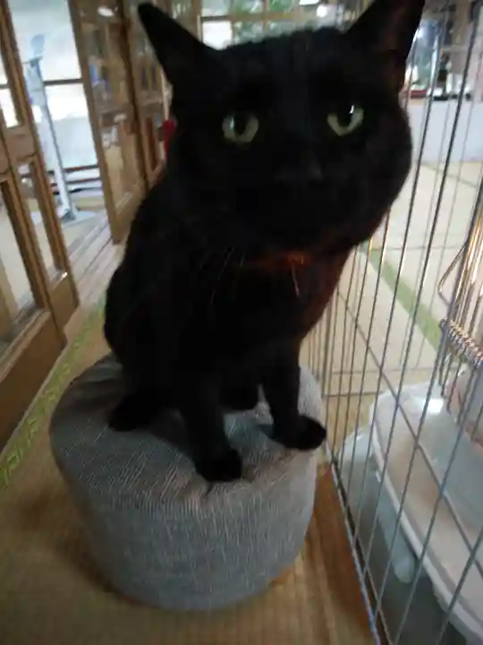 高司神社〜むすびの神の鎮まる社〜(福島県)