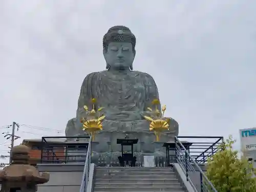 能福寺の{uncategorized: "未分類", other: "その他", undefined: "問題あり", building: "その他建物", grave: "お墓", sacred_gate: "鳥居", guardian: "狛犬", statue: "像", buddha: "仏像", history: "歴史", nature: "自然", garden: "庭園", animal: "動物", pagoda: "塔", temizu: "手水舎", mountain_gate: "山門・神門", sanctuary: "本殿・本堂", subordinate: "末社・摂社", art: "芸術", scenery: "景色", jizo: "地蔵", ema: "絵馬", goshuin: "御朱印", omikuji: "おみくじ", items: "授与品その他", amulet: "お守り", goshuincho: "御朱印帳", eats: "食事", festival: "お祭り", votive_dance: "神楽", shichigosan: "七五三参", wedding: "結婚式", experience: "体験その他", initially: "初詣", around: "周辺", anti_infection: "感染症対策"}