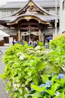 長國寺の本殿・本堂