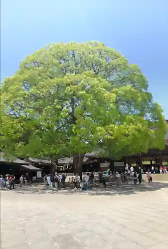 明治神宮(東京都)