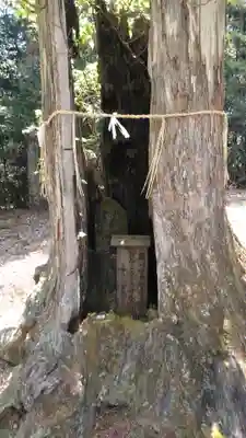 正平寺のその他建物