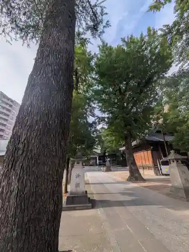 亀有香取神社(東京都)