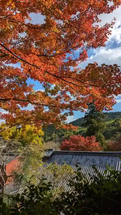 十輪寺(京都府)