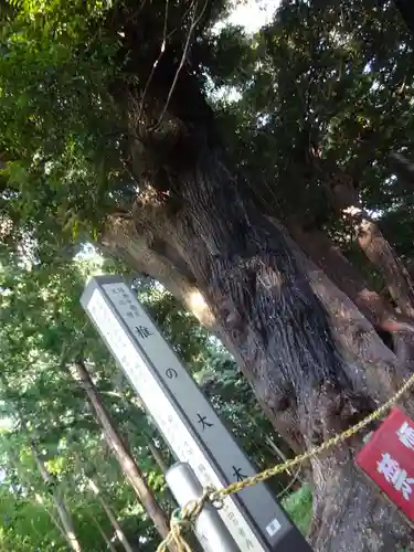 五社神社のその他建物