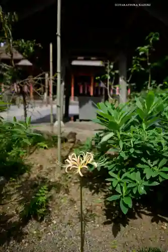 宝城坊(神奈川県)