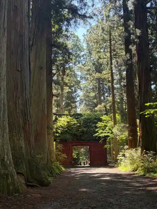 戸隠神社奥社(長野県)