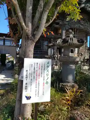 秩父札所十三番 慈眼寺(埼玉県)
