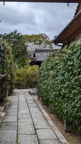 勝林寺(京都府)