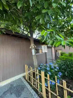 川越八幡宮(埼玉県)