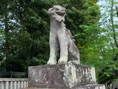 一之宮貫前神社の狛犬