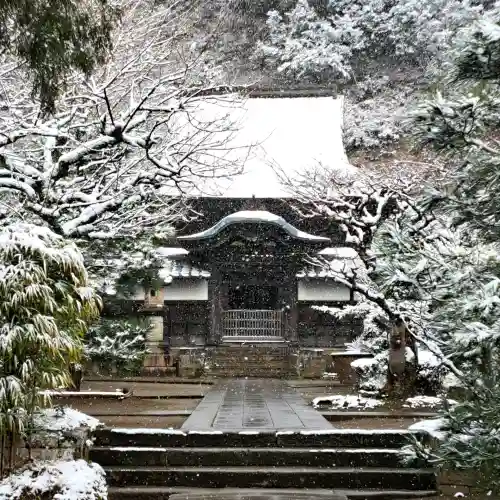円覚寺の{uncategorized: "未分類", other: "その他", undefined: "問題あり", building: "その他建物", grave: "お墓", sacred_gate: "鳥居", guardian: "狛犬", statue: "像", buddha: "仏像", history: "歴史", nature: "自然", garden: "庭園", animal: "動物", pagoda: "塔", temizu: "手水舎", mountain_gate: "山門・神門", sanctuary: "本殿・本堂", subordinate: "末社・摂社", art: "芸術", scenery: "景色", jizo: "地蔵", ema: "絵馬", goshuin: "御朱印", omikuji: "おみくじ", items: "授与品その他", amulet: "お守り", goshuincho: "御朱印帳", eats: "食事", festival: "お祭り", votive_dance: "神楽", shichigosan: "七五三参", wedding: "結婚式", experience: "体験その他", initially: "初詣", around: "周辺", anti_infection: "感染症対策"}