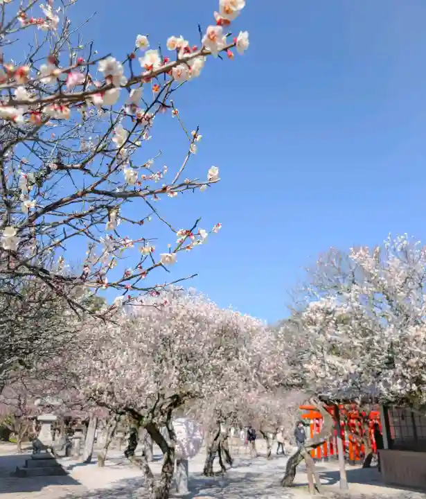 綱敷天満宮の{uncategorized: "未分類", other: "その他", undefined: "問題あり", building: "その他建物", grave: "お墓", sacred_gate: "鳥居", guardian: "狛犬", statue: "像", buddha: "仏像", history: "歴史", nature: "自然", garden: "庭園", animal: "動物", pagoda: "塔", temizu: "手水舎", mountain_gate: "山門・神門", sanctuary: "本殿・本堂", subordinate: "末社・摂社", art: "芸術", scenery: "景色", jizo: "地蔵", ema: "絵馬", goshuin: "御朱印", omikuji: "おみくじ", items: "授与品その他", amulet: "お守り", goshuincho: "御朱印帳", eats: "食事", festival: "お祭り", votive_dance: "神楽", shichigosan: "七五三参", wedding: "結婚式", experience: "体験その他", initially: "初詣", around: "周辺", anti_infection: "感染症対策"}