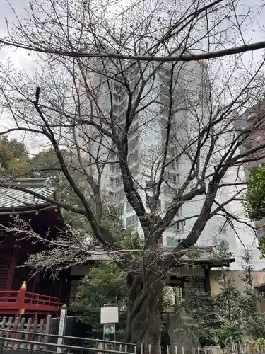 金王八幡宮(東京都)