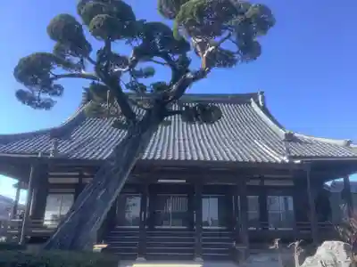 荘厳寺の本殿・本堂