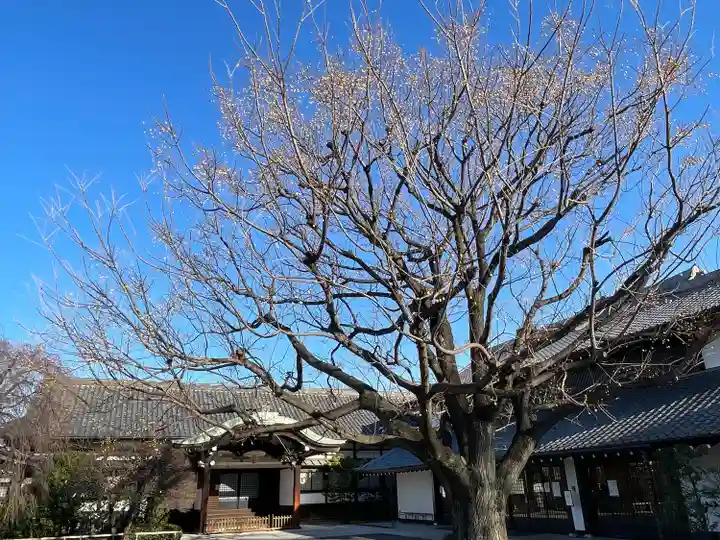 吉祥寺(東京都)
